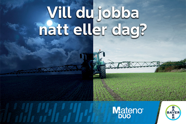 Vill du jobba natt eller dag